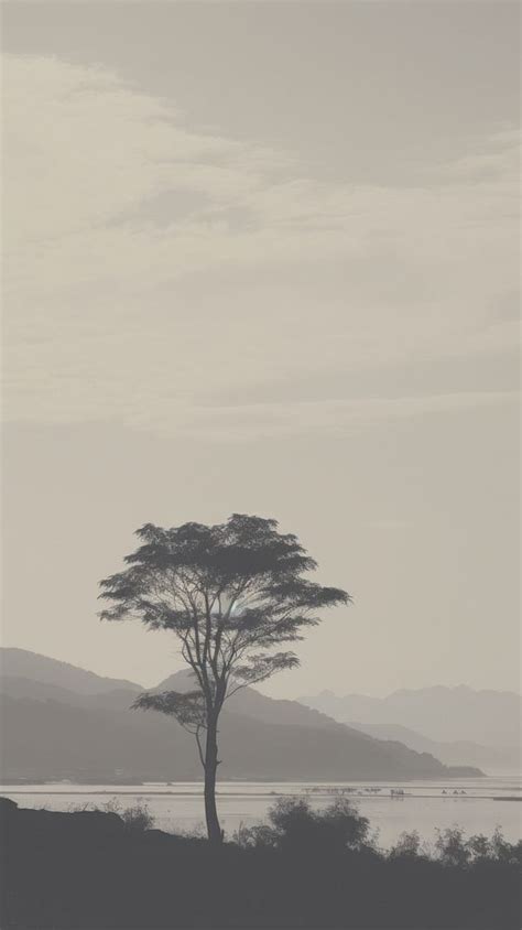 Landscape silhouette outdoors savanna. | Premium Photo - rawpixel