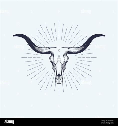 Texas Longhorn Skull Vector Illustration Country Western Bull Cattle