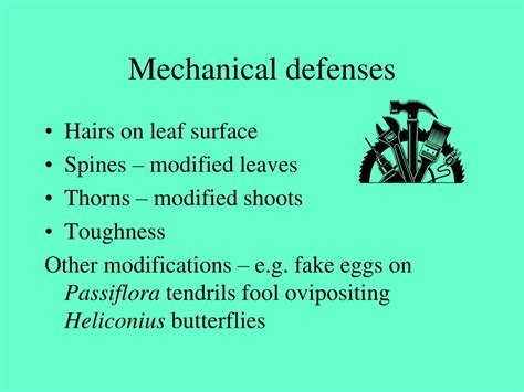 Ppt Plant Defenses Against Herbivores Powerpoint Presentation Free