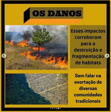 Você Sabe Quais São Os Impactos Da Agropecuária Greenpeace Brasil