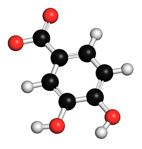 Pca Acid Green Tea Molecule Photograph By Molekuul Science Photo Library Fine Art America