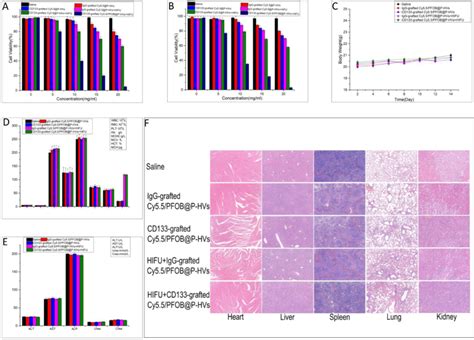 In Vitro Cytotoxicity And Biosafety Cell Viabilities Of Bxpc 3 Cells Download Scientific