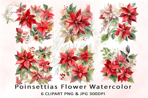 Poinsettias Flower Watercolor Clipart Graphic By Diceenid · Creative Fabrica