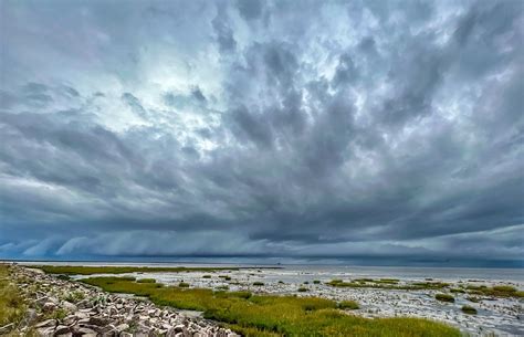 North Sea Watt Wadden Free Photo On Pixabay Pixabay