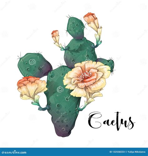 Cactus In Desert Vector And Illustration Hand Drawn Style Isolated On