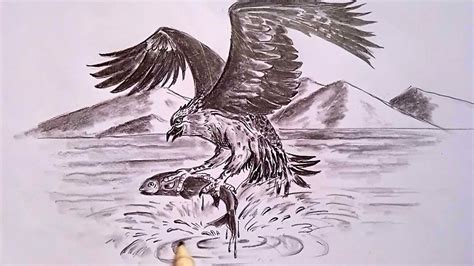 Draw A Eagle Catch Fish Youtube