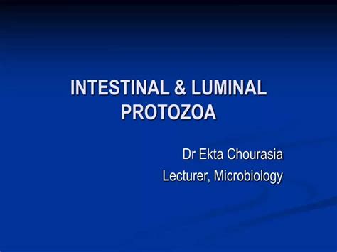 Ppt Intestinal And Luminal Protozoa Powerpoint Presentation Free