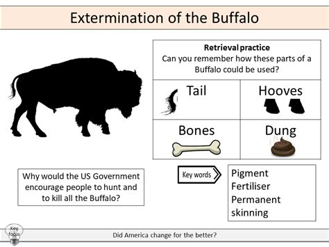 Extermination Of The Buffalo Teaching Resources