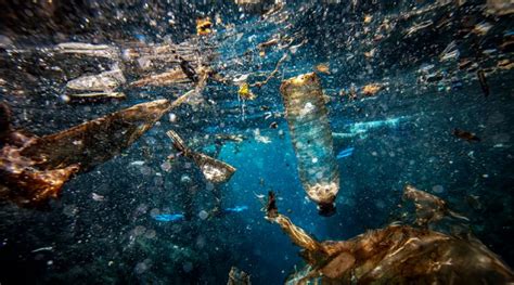 La Onu Propone Un Tratado Para Detener La Contaminación Por Plásticos Invdes