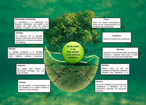 Materias O Ciencias Que Se Relacionan Con La Ecologia