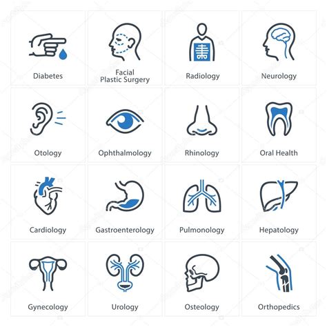 Medical & Health Care Icons Set 1 - Specialties Stock Vector Image by ©Introwiz #56856543