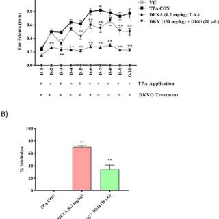 Histopathological Analysis Of DKV O Treatment On TPA Stimulated Mice