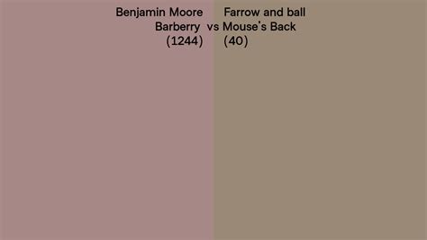 Benjamin Moore Barberry Vs Farrow And Ball Mouse S Back