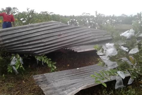 Angin Kencang Terjang Purbalingga Puluhan Rumah Rusak Krjogja