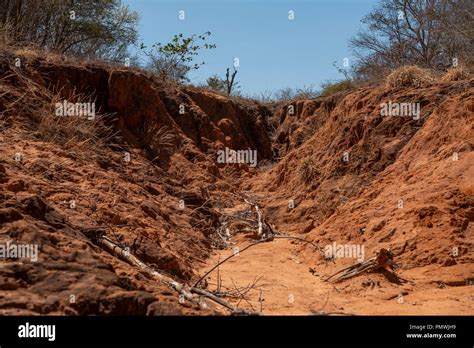 Degrado Dei Suoli Immagini E Fotografie Stock Ad Alta Risoluzione Alamy