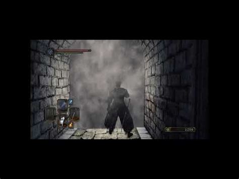 Dark Souls Ii Dragonrider Youtube