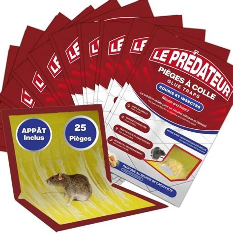 Le Pr Dateur Pi Ge Colle Pour Souris Rat Insecte Et L Zard