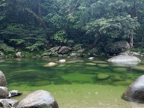 Mossman Gorge Port Douglas All You Need To Know