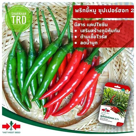 Mini Pack Seeds SUPER HOT F Biji Benih Cili Pedas F Hybrid Hot Pepper Seeds Cap Panah