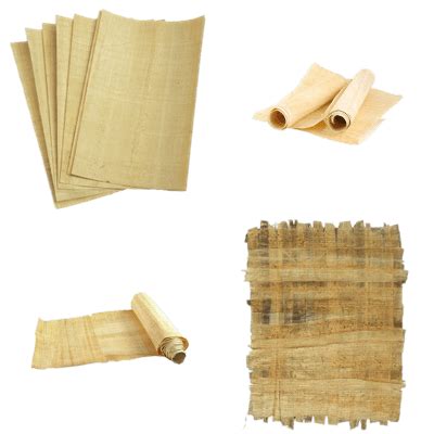 Papyrus transparent PNG images - StickPNG