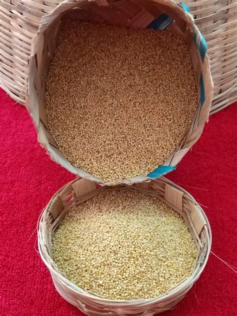 Indian Organic Foxtail Millet Packaging Size 1 Kg At Rs 180 1 Kg In