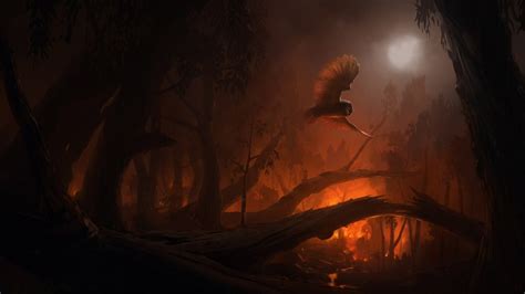 Wallpaper Forest Fantasy Art Fire Cave Owl Formation Darkness