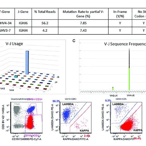 Chromosome Ideogram Showing Genomic Location Of The Igh Gene