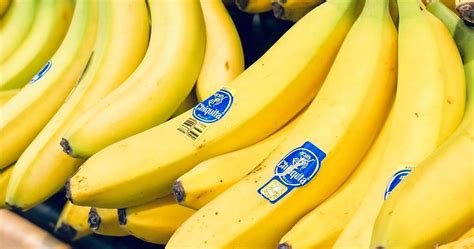 US Jury Holds Chiquita Responsible For Financing Colombia Paramilitaries