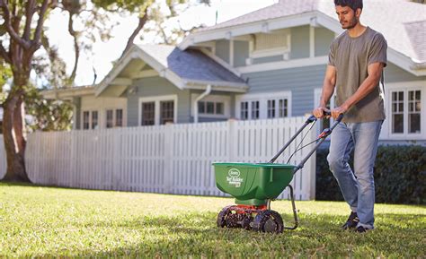 Best Time To Fertilize Lawn Before Or After Rain Archute