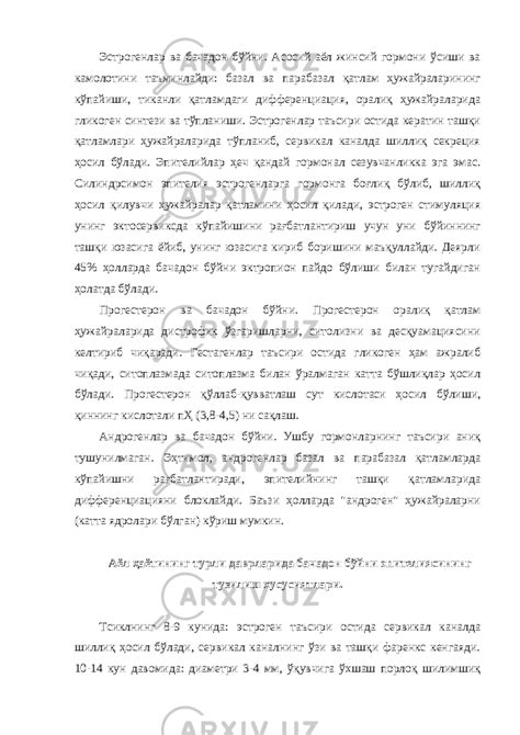Бачадон бўйни анатомияси ва физиологияси - Медицина - Рефераты
