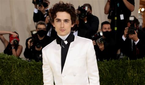 Timothée Chalamet Bio Family Career Girlfriend Net Worth Height