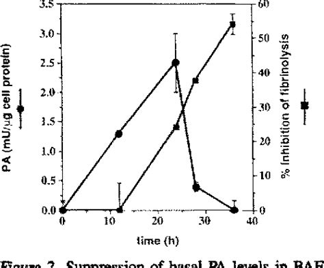 Figure 2 From Basic Fibroblast Growth Factor Induced Activation Of