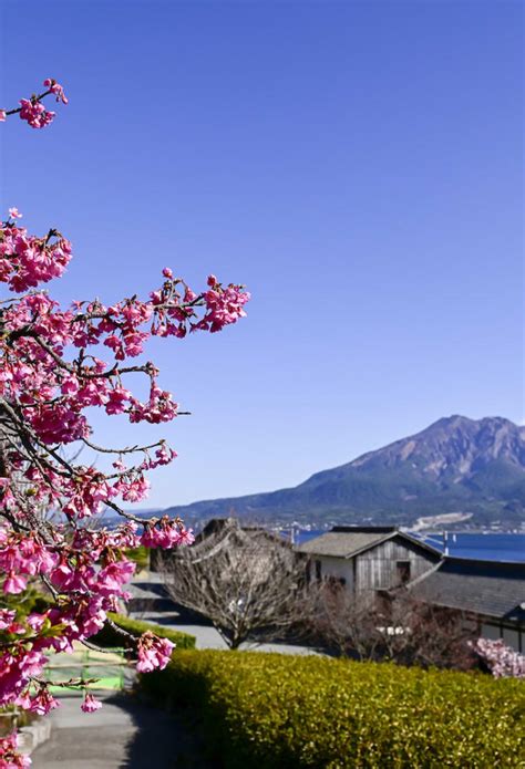 Kagoshima City | Kagoshima | Kyushu | Destinations | Travel Japan - Japan National Tourism ...