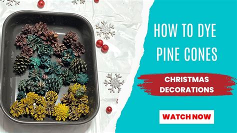 How To Dye Pine Cones Pine Cone Christmas Decorations Ideas Diy