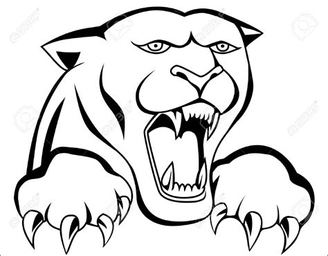 Panther Face Drawing at GetDrawings | Free download