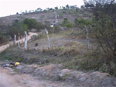 Blog São José de Itaporã Muritiba Bahia Brasil Estrado do Pau Ferro a