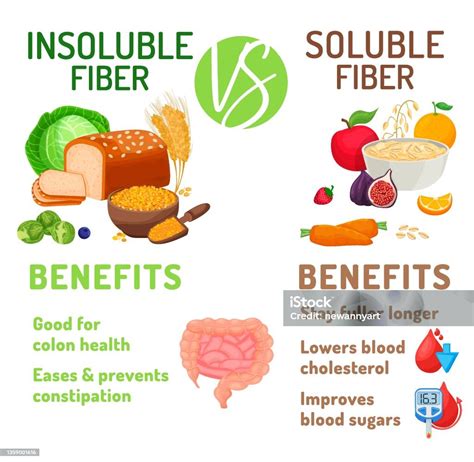 Soluble And Insoluble Fibre Benefits Editable Vector Illustration Stock