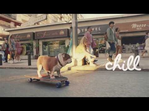 Churchill - Chill (Skateboarding Dog) Advert - TV Advert Music