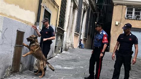 Spaccia Droga In Vico Largo Arrestato Dai Carabinieri