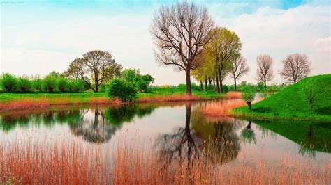 منظره زیبای رودخانه سبز Spring Nature Spring Landscape Landscape