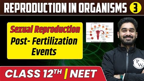 Reproduction Of Organisms 03 Sexual Reproduction Post Fertilization Events Class 12th