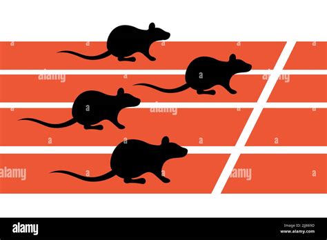 Rat Race Competitive Animals Sprinters Are Competing In The