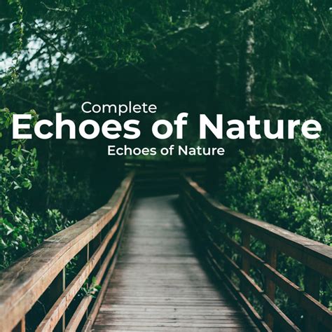 Complete Echoes Of Nature Album By Echoes Of Nature Spotify