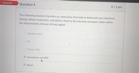 Solved The Following Vitamins Function As Coenzymes That Chegg