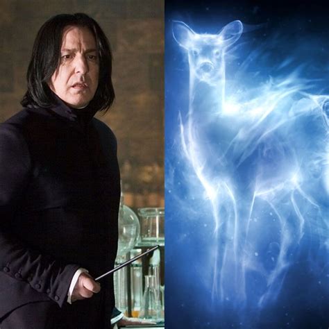 Harry Potter ¿qué Formas Tienen Los Expecto Patronum De Harry Ron Hermione Y Otros