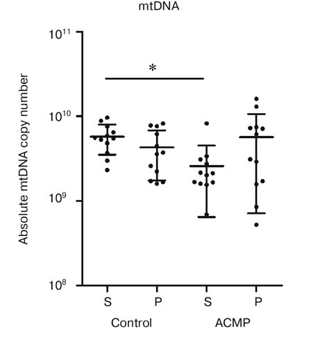 Assessment Of Mtdna Levels In Different Fractions Of Conn Ditioned