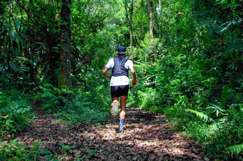 Forest Run Suguhkan Rute Lari Lintas Alam Di Cikole