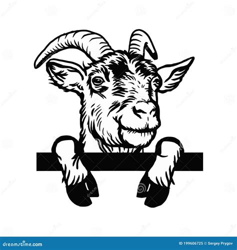 Goat Set. Vector | CartoonDealer.com #69213804