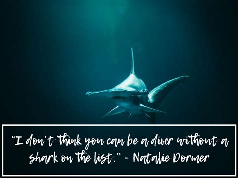 90 Scuba Diving Quotes That Put Your Love Of The Ocean Into Words