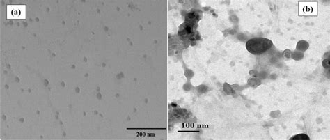 Tem Micrographs Of Nanoparticles Suspensions Of A Starch And B